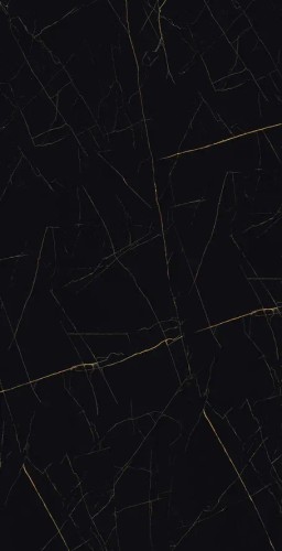 Керамогранит Eurotile GOLDEN BLACK 905 80х160