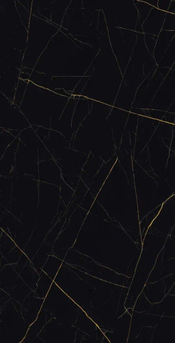 Керамогранит Eurotile GOLDEN BLACK 905 80х160