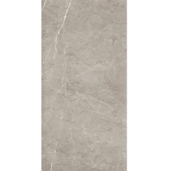 Керамогранит Pamesa 004.869.0002.14631 Sense Gris Polished Rec 60x120
