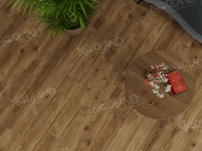 Ламинат Norland Elegant Strong Дуб Корсика LF302-18