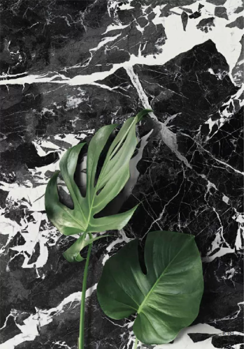 Керамогранит Imola Ceramica GRAAN612LP The Room 60x120