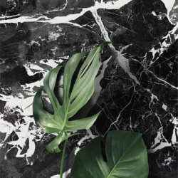 Керамогранит Imola Ceramica GRAAN612LP The Room 60x120