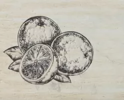 Керамическая плитка Monopole Декор Antique Gris Fruit Creta Orange 10x30