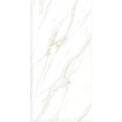 Керамогранит Ceradim х9999304615 Calacatta Clarity Gold Белый Матовый 60х120