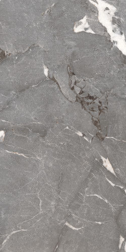 Керамогранит Global Tile Pegasus PGT1206010201SGR Серый 60x120