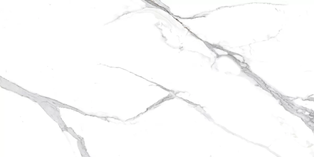 Керамогранит Ceradim х9999304481 Calacatta Splendid Silver Белый Матовый 60х120