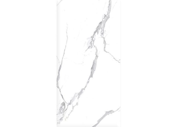 Керамогранит Ceradim х9999304481 Calacatta Splendid Silver Белый Матовый 60х120