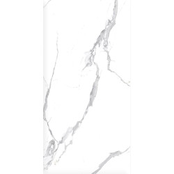 Керамогранит Ceradim х9999304481 Calacatta Splendid Silver Белый Матовый 60х120