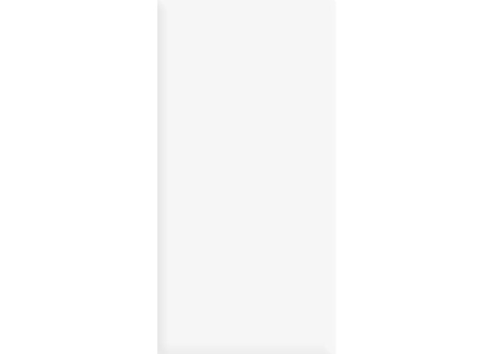 Керамогранит Alma Ceramica GFU60120WIN00R Twin матовый 60x120  