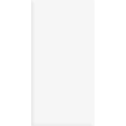 Керамогранит Alma Ceramica GFU60120WIN00R Twin матовый 60x120  