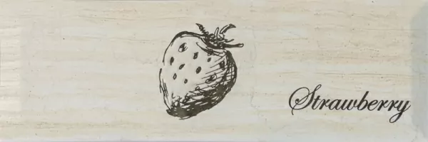 Керамическая плитка Monopole Декор Antique Gris Fruit Creta Strawberry 10x30