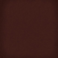 Керамическая плитка Vives 19609 1900 Chocolate 20x20