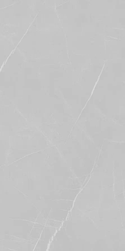Керамогранит Eurotile PIETRA GRAY 906 80х160
