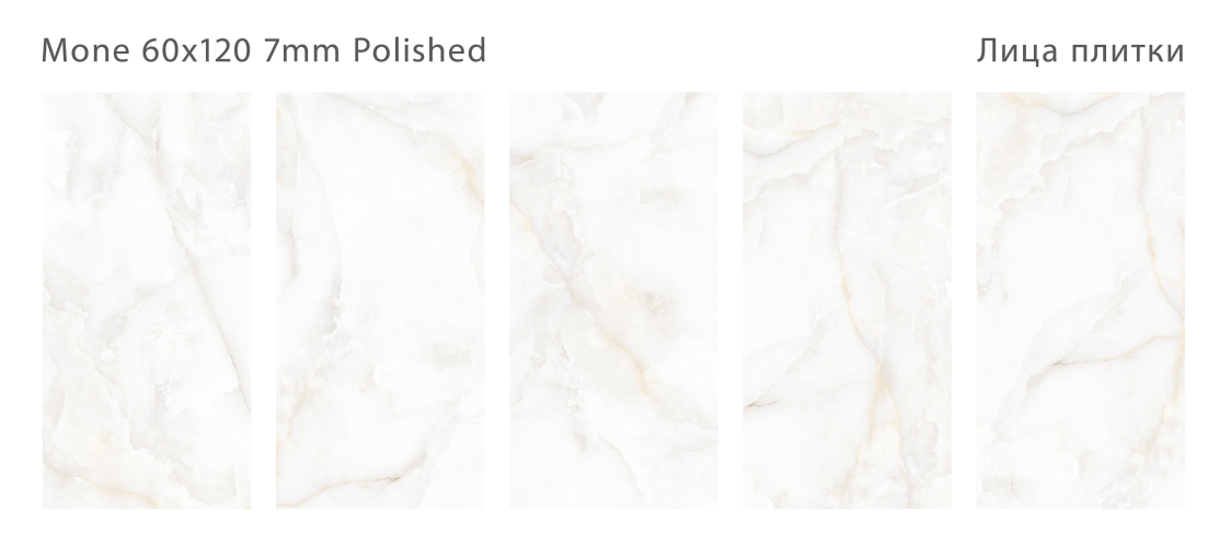 Керамогранит Staro Slim Mone Polished 60x120