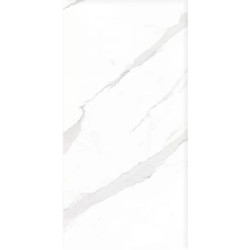 Керамогранит Geotiles Statuary Compacglass Blanco 60x120