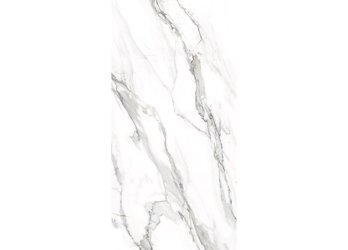 Керамогранит Delacora D12053M Omega Silver матовый карвинг 60x120