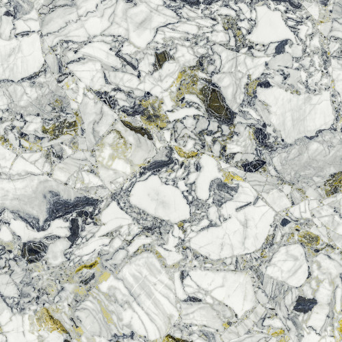 Керамогранит Atlas Concorde Russia 610015000703 Forte dei Marmi Quark Ceppo Apuano Forest Lapp Rett 80x80