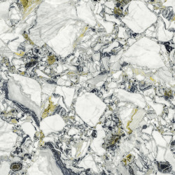 Керамогранит Atlas Concorde Russia 610015000703 Forte dei Marmi Quark Ceppo Apuano Forest Lapp Rett 80x80