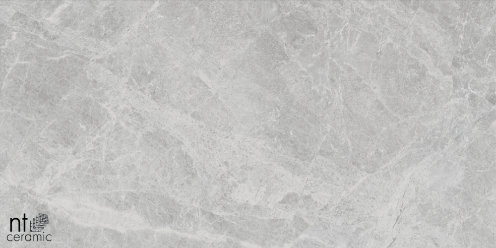 Керамогранит NT Ceramic NTT9118M Tundra Pearl mat 60x120