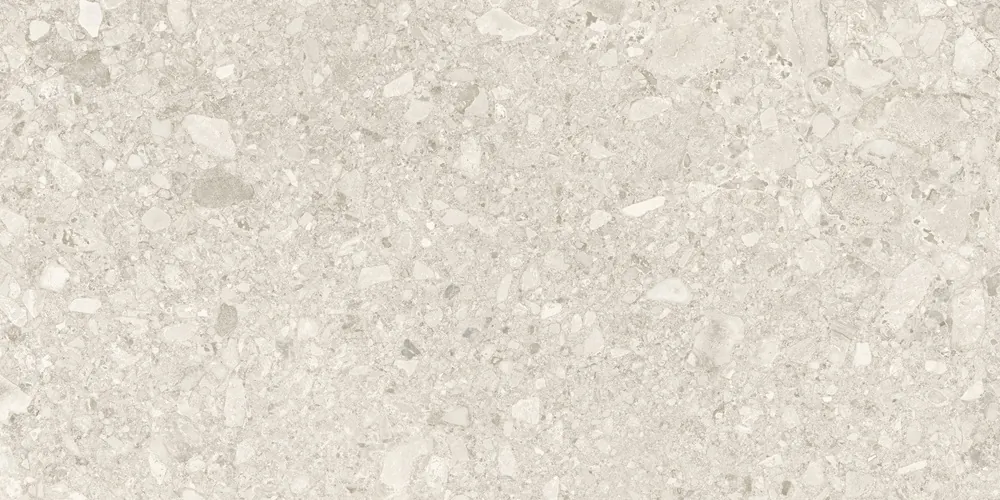 Керамогранит Duna RP-238598 Ceppo Di White GHR 60x120