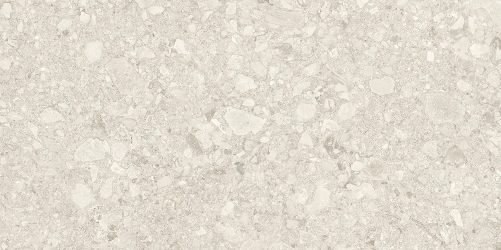 Керамогранит Duna RP-238598 Ceppo Di White GHR 60x120