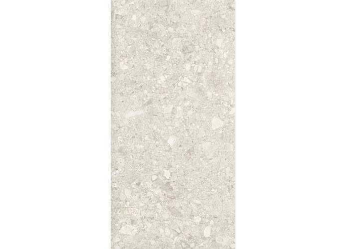 Керамогранит Duna RP-238598 Ceppo Di White GHR 60x120