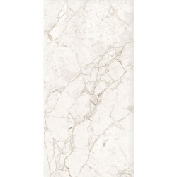 Керамогранит Eurotile Florencia Grey Carving 7930138704736 60x120