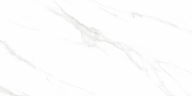 Керамогранит Ceradim х9999304205 Calacatta Genius Белый Полированный 60х120