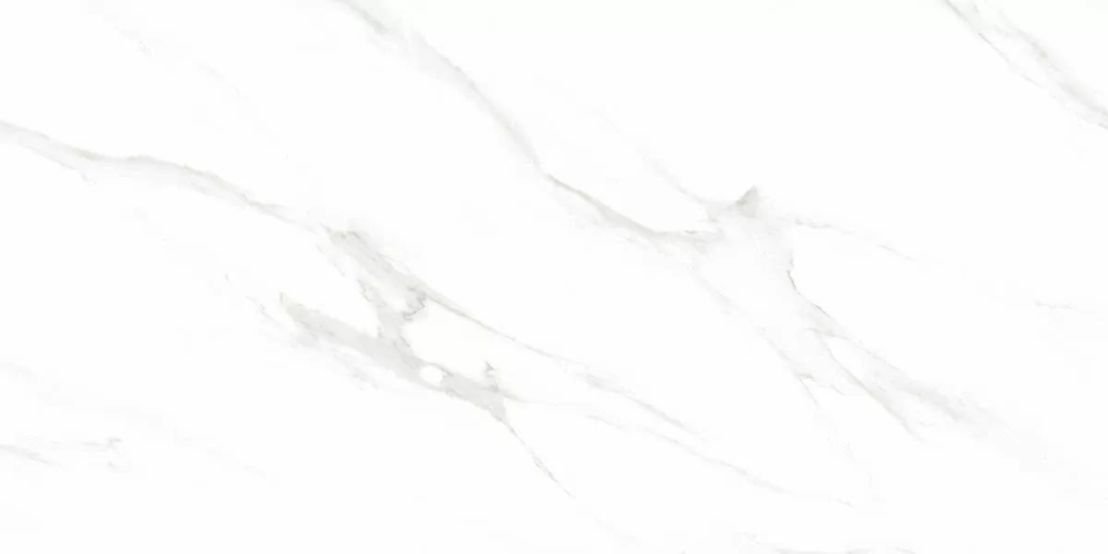 Керамогранит Ceradim х9999304205 Calacatta Genius Белый Полированный 60х120