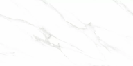 Керамогранит Ceradim х9999304205 Calacatta Genius Белый Полированный 60х120