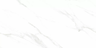 Керамогранит Ceradim х9999304205 Calacatta Genius Белый Полированный 60х120