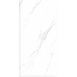 Керамогранит Ceradim х9999304205 Calacatta Genius Белый Полированный 60х120