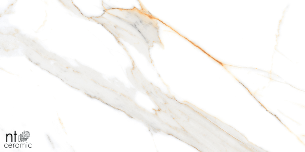 Керамогранит NT Ceramic NTT99500P Miami Natural 60x120