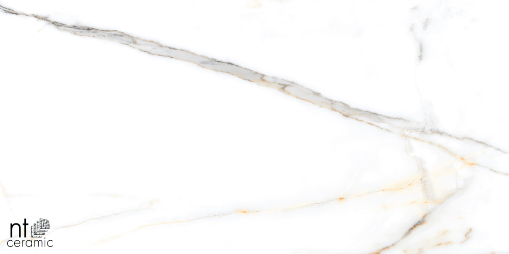 Керамогранит NT Ceramic NTT99500P Miami Natural 60x120