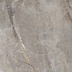 Керамогранит Primavera Essence Grey PR209 60x120