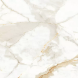 Керамогранит Ceradim х9999304486 Calacatta Superior Белый Матовый 60х120