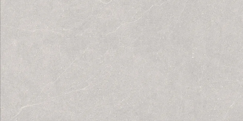 Керамогранит Duna RP-238578 Elenta Ash Carving 60x120