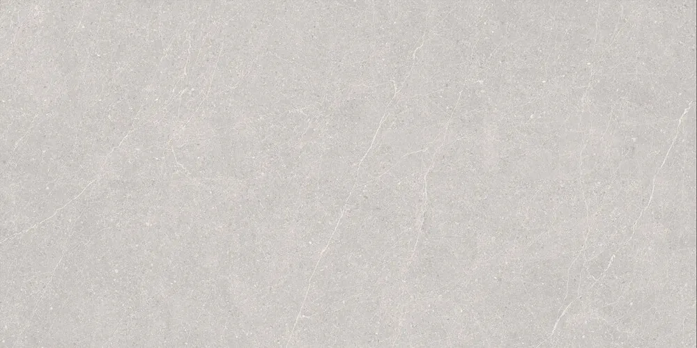Керамогранит Duna RP-238578 Elenta Ash Carving 60x120