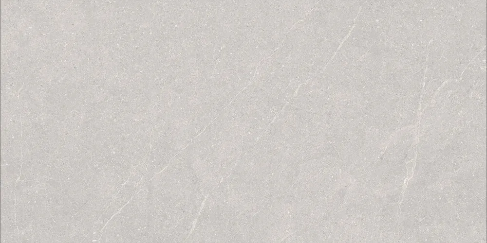Керамогранит Duna RP-238578 Elenta Ash Carving 60x120