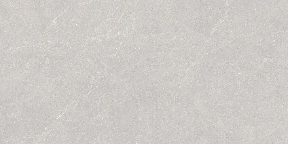 Керамогранит Duna RP-238578 Elenta Ash Carving 60x120