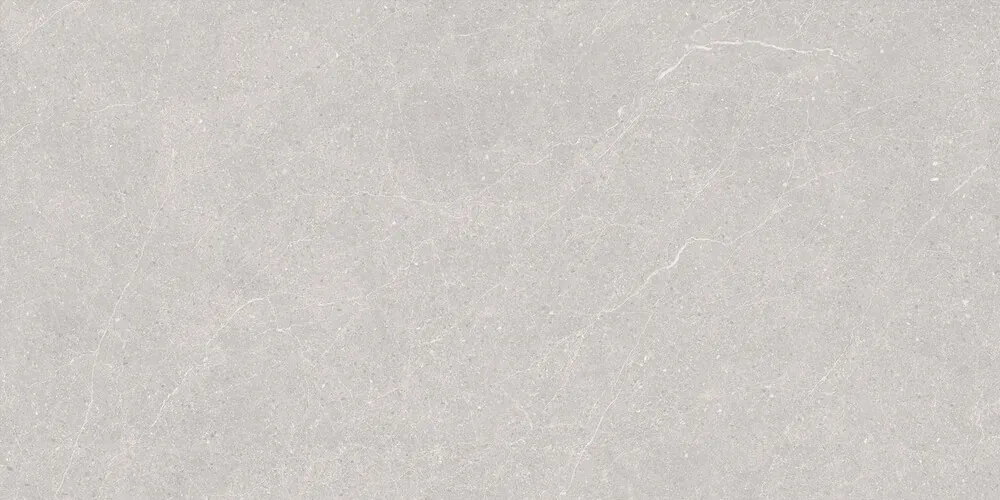 Керамогранит Duna RP-238578 Elenta Ash Carving 60x120