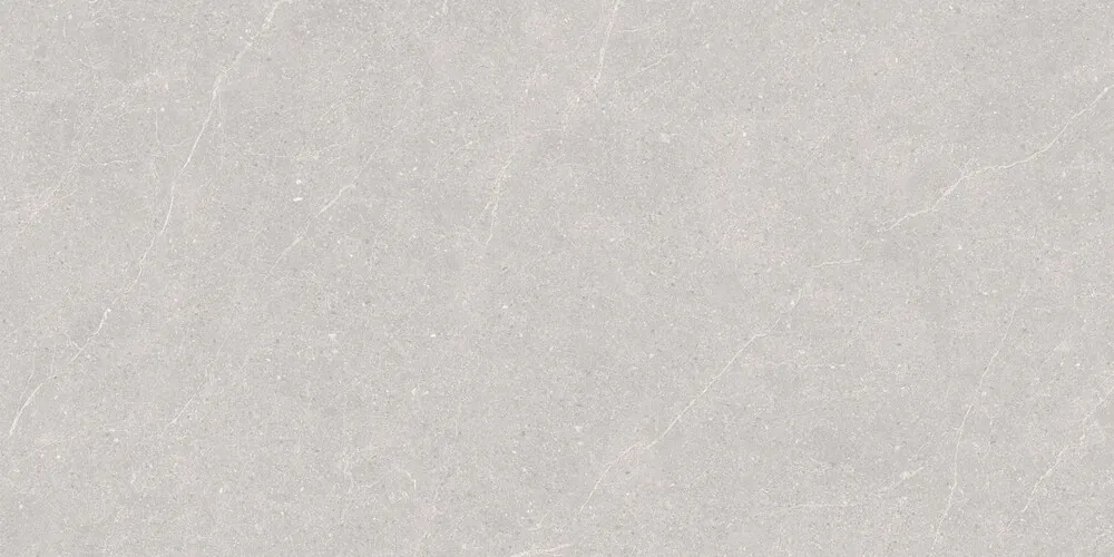 Керамогранит Duna RP-238578 Elenta Ash Carving 60x120