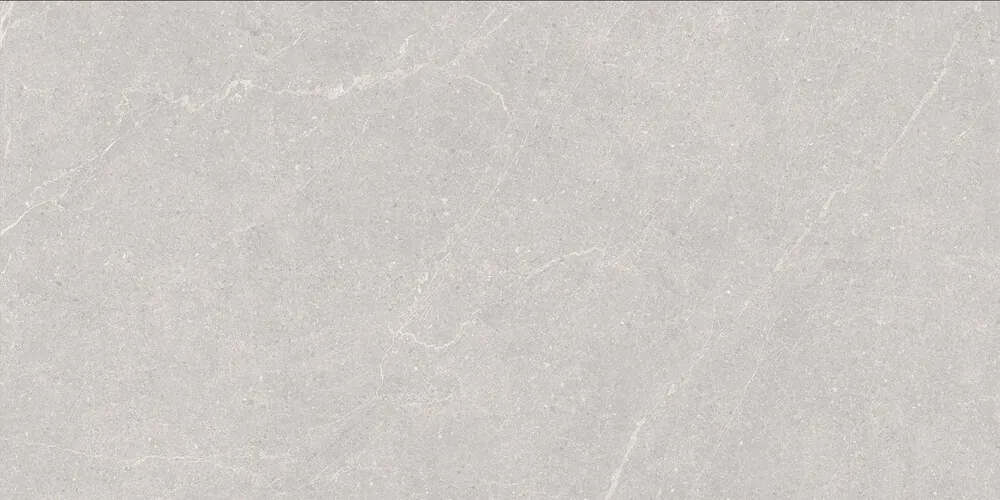 Керамогранит Duna RP-238578 Elenta Ash Carving 60x120
