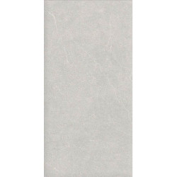 Керамогранит Duna RP-238578 Elenta Ash Carving 60x120