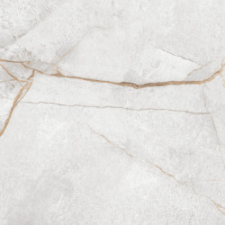 Керамогранит LCM 60120PEC15P Special Marmo Gray 60x120