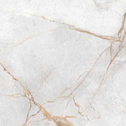 Керамогранит LCM 60120PEC15P Special Marmo Gray 60x120