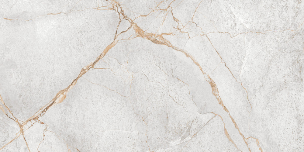 Керамогранит LCM 60120PEC15P Special Marmo Gray 60x120