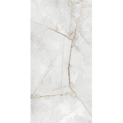 Керамогранит LCM 60120PEC15P Special Marmo Gray 60x120