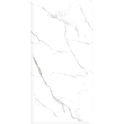 Керамогранит Ceradim х9999304576 Statuario Wonderful Белый Полированный 60х120