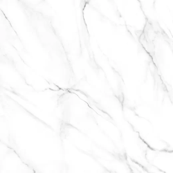 Керамогранит Alma Ceramica GFU04NCL07R Neo Calacatta матовый 60x60 